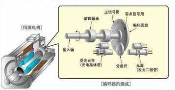 3d动画演示 伺服电机是如何工作的